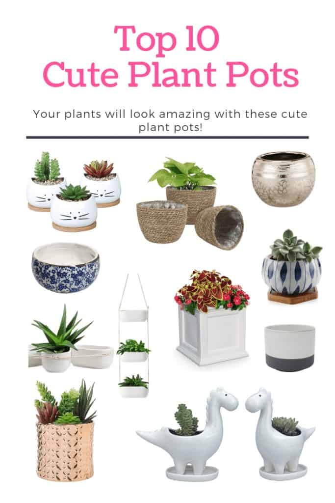 Top 10 Cute Plant Pots