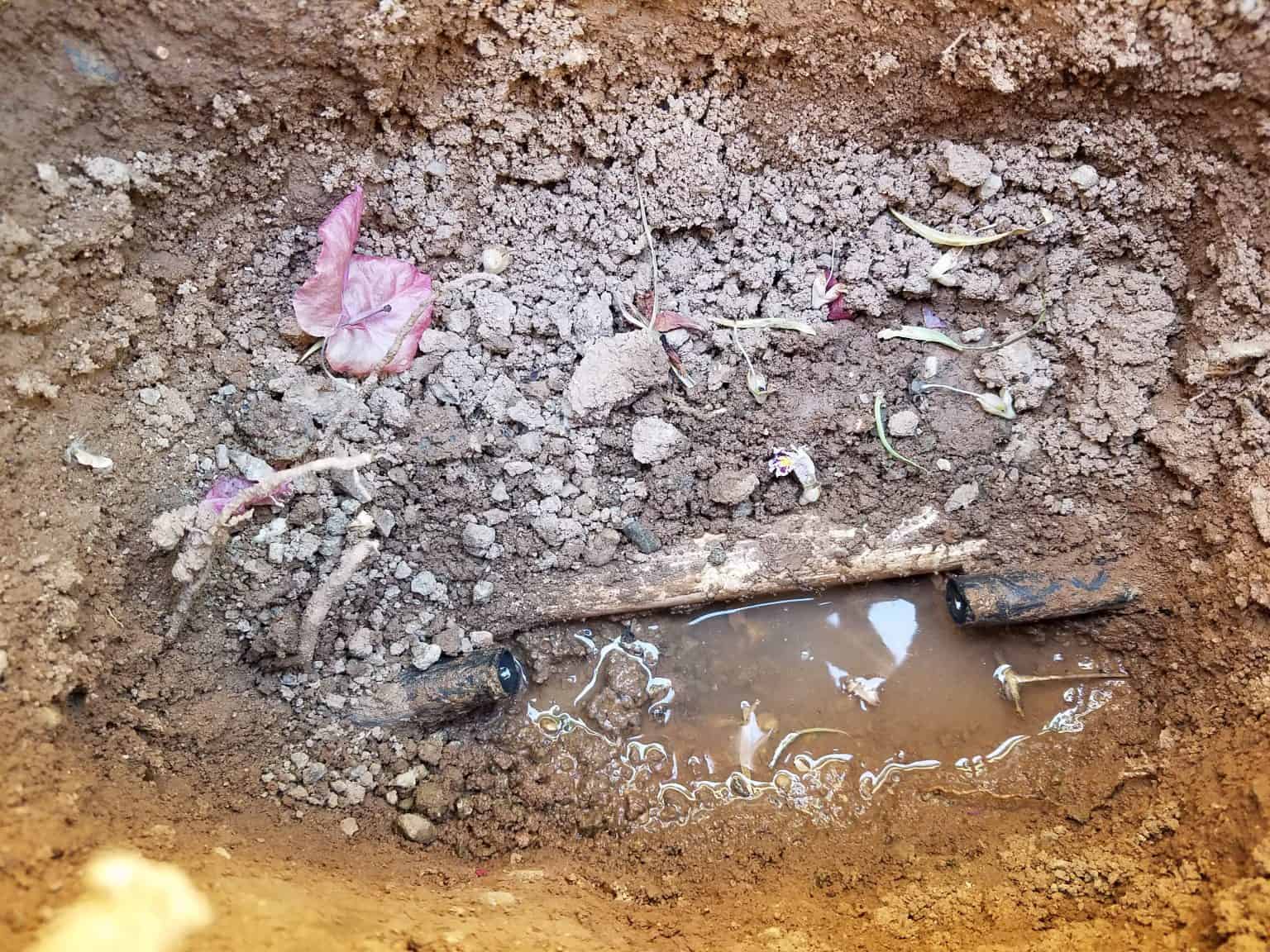 How to Fix a Broken Drip Line Puffs Ruffs N' Stuffs