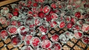 Frosted Cranberries - drying